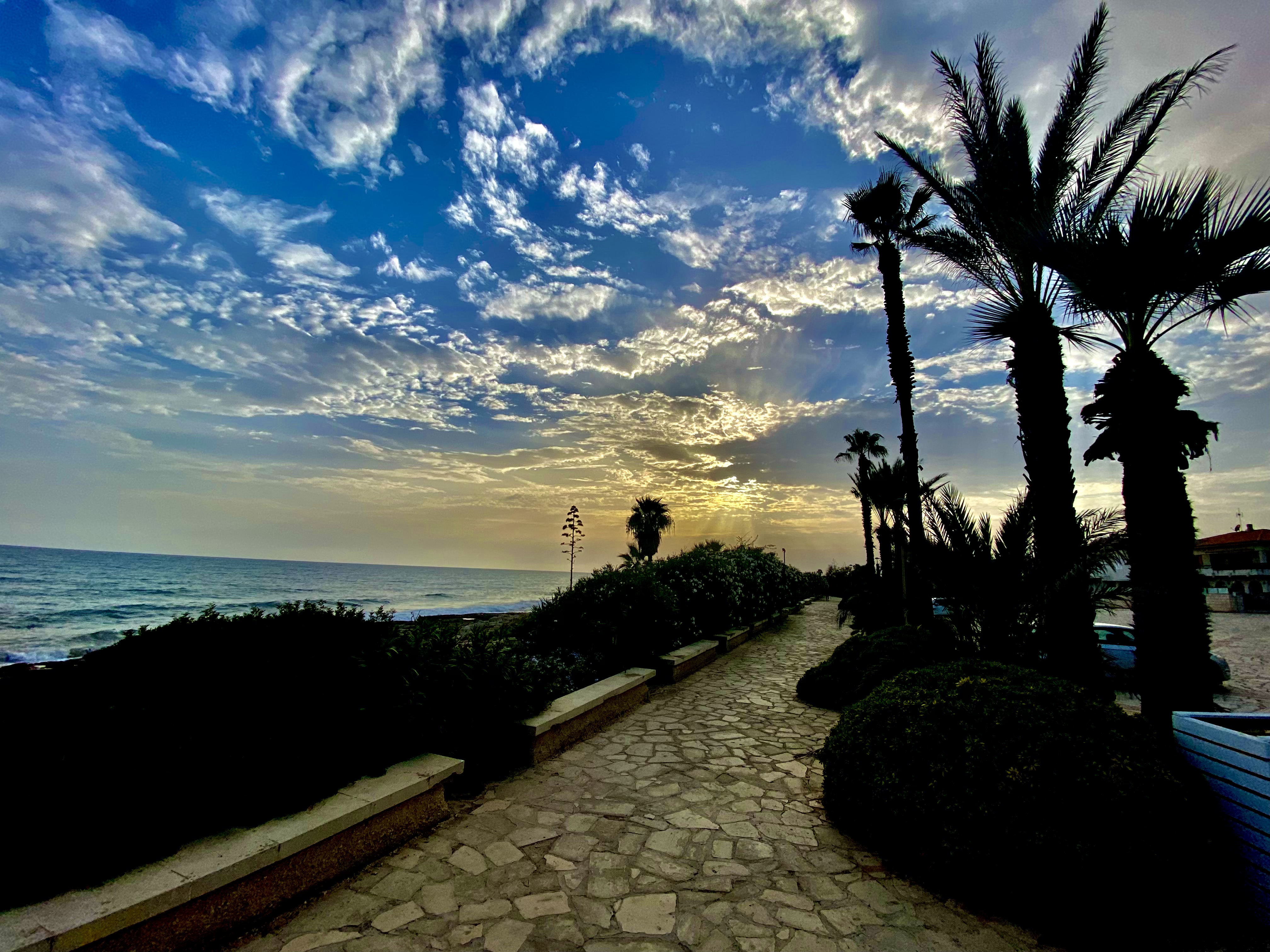 Tramonto spettacolare sul lungomare di Marina di Modica con palme silhouette e cielo dorato